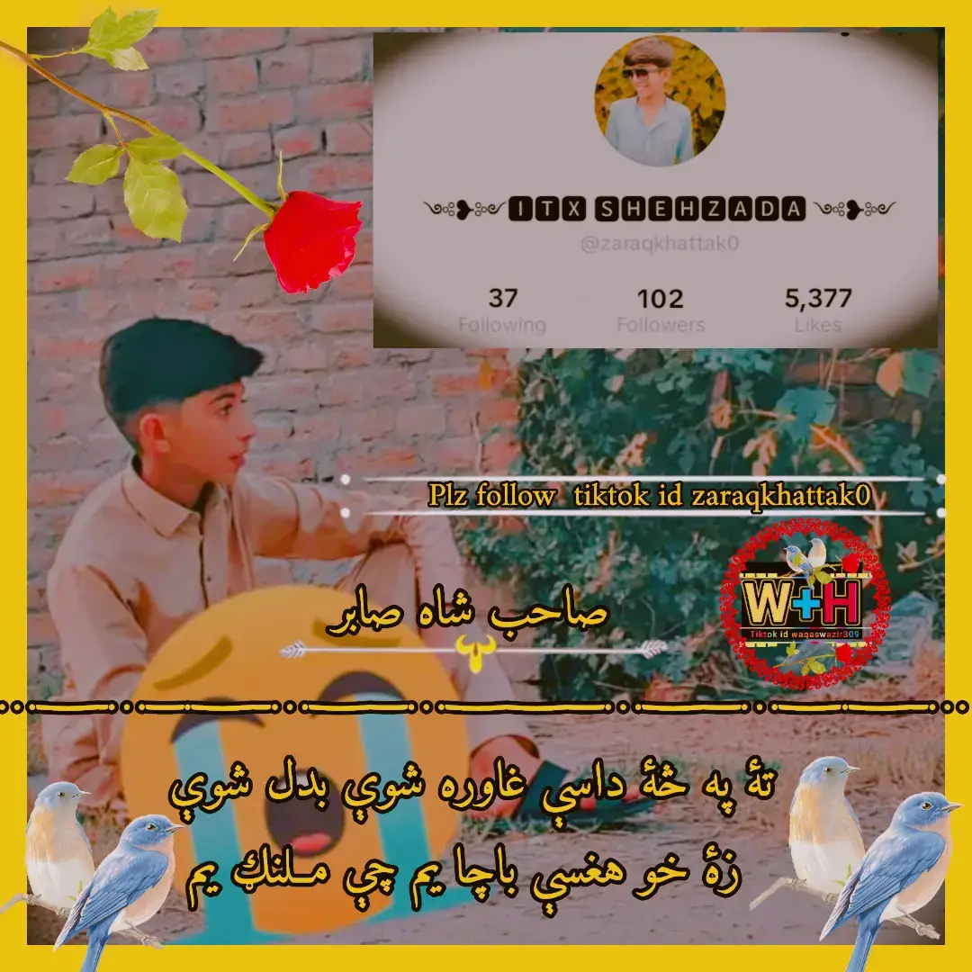 @༺❥༻🅸🆃🆇 🆂🅷🅴🅷🆉🅰🅳🅰 ༺❥༻  غزل...  په دنيا کښې د دنيا د غمه تنــــــګ يم چې يواځې يم د ځان سره په جنګ یم  په کوڅۀ د لونګينو غــــــــــــــاړو راغلم  ټول وجود مې خوشبوئي کوي لونګ يم  چې د مينې لېــــــــــــــوني رانه ځارېږي  زۀ د کوم ګودر د کومې غاړې بنګ يم  تۀ په څۀ داسې غاوره شوې بدل شوې  زۀ خو هغسې باچا يم چې مــلنګ يم  د ازغي سره چې اولګــــــــــمه ګل شي  په رښتيا د محبت په رنګ کښې رنګ يم   زۀ د هغې نومه هغــــــــسې ځارېږم  چې د څَنګه‌ ئې موده وشوه په څنګ يم  د صابر سترګو کښې ټوله شپه غړېږم پوهه نۀ يم چې رڼا يمه که رنـــګ يم  صاحب شاه صابر  ــــــ.ــــ…ـــــــ…ـــــــــــ…ـــــــ…ــــــ.ـــ…ـــــ…ـــ… تۀ په څۀ داسې غاوره شوې بدل شوې  زۀ خو هغسې باچا يم چې مــلنګ يم #waqaswazir309 #pashtotappy #blackdance #blackvideo #pashtoshayari 