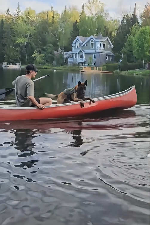 The dog must not have done it intentionally 🤣🤣#dog #dogsoftiktok #funnydog #foryou #fyp #funnyvideos #pet #tiktok 