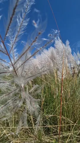 @shantikc510 @anandshrestha2060 @ANAND SHRESTHA 