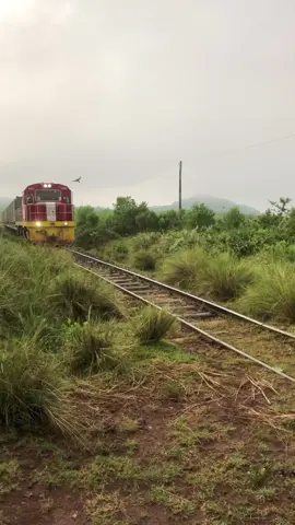 Train spotting in a foggy morning  #train #spotting #fyp #nakuru #kenyantiktok🇰🇪 