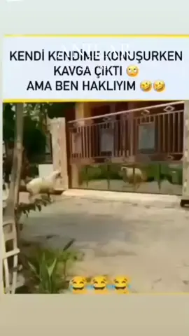 #anılar