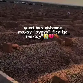 ayeeyo⚰️😔😪@Thomas zhelpy 🥷🏻 @Awouch ❤️🫅🏻 @MucashaQ🐾🪄 @Ak Tourisam @N💐🧚‍♀️ 