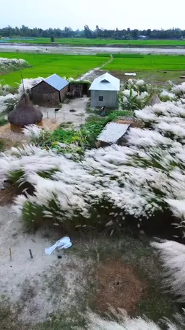 #bangladesh🇧🇩 
