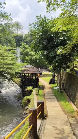 keindahan alam #curugbangkong#kuninganjawabarat#kuningan 