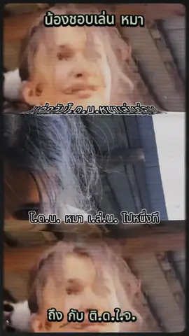 น้องชอบเลี้ยงหมา#ขึ้นฟีดเถอะ #เปิดการมองเห็น #กระแสมาแรง #เทรนวันนี้ #ดาวติ๊กต๊อก 