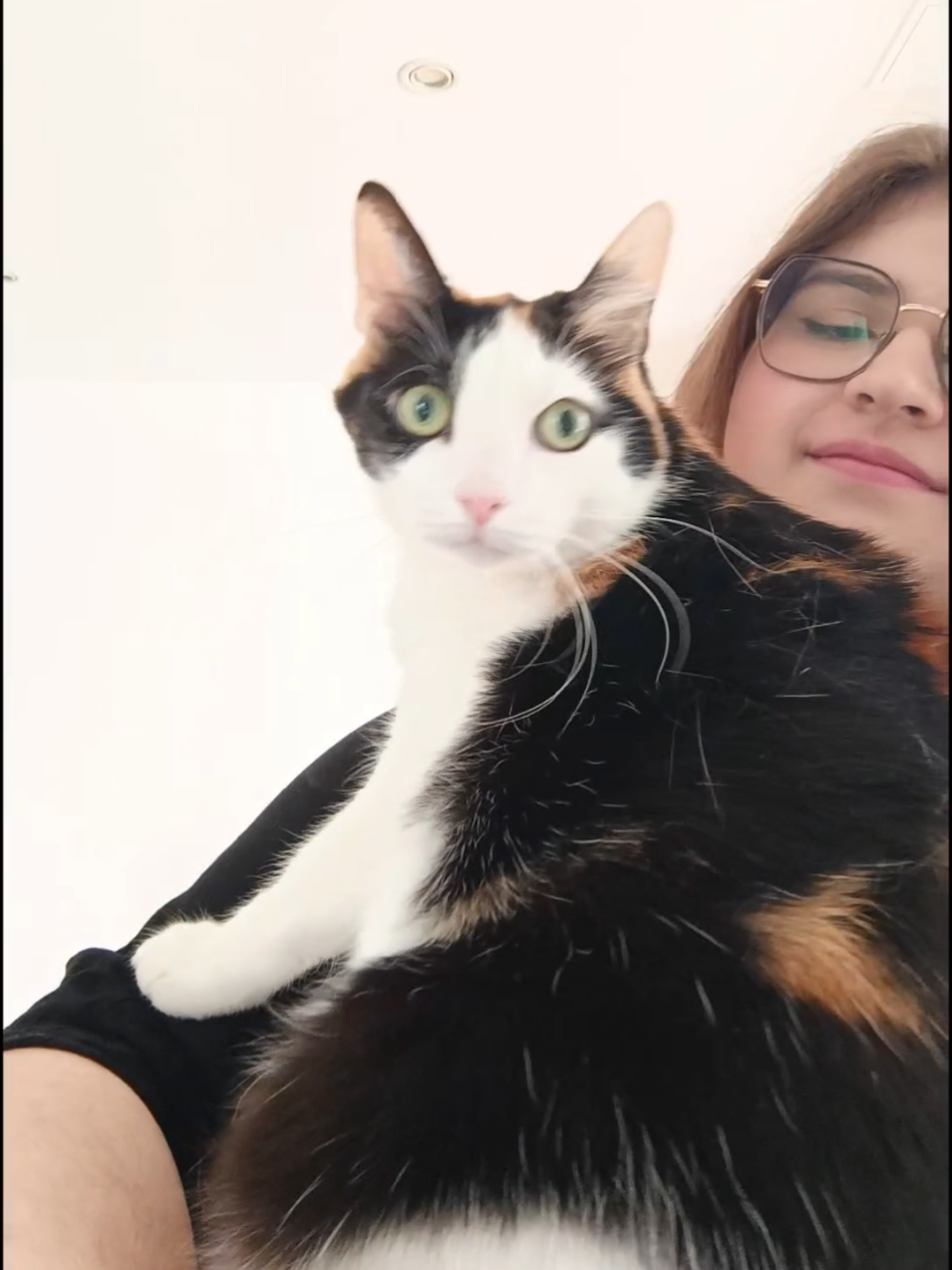 I think my cat is pretty positive about it #singing #edsheeran #cover #sing #viral @Ed Sheeran 
