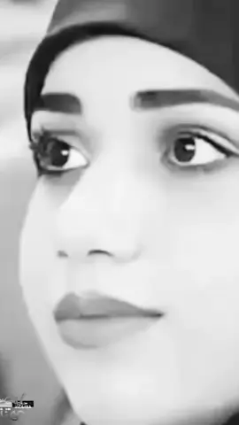 #اكسبلورexplore @زيد موسى 