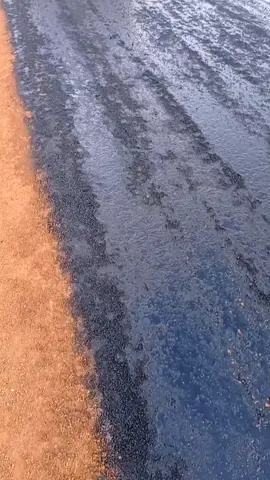 ቢትመን እስታቢላይዜሽን bitumen stabilization #construction #ኮንስትራክሽን 
