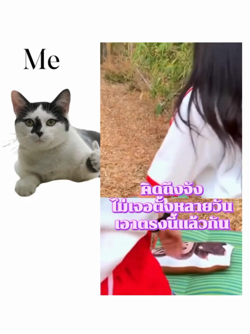 คิดถึงจัง#เปิดการมองเห็น #เอาขึ้นหน้าฟีดที #เทรนด์วันนี้้ #fyppppppppppppppppppppppp #ชอบก็ตาม