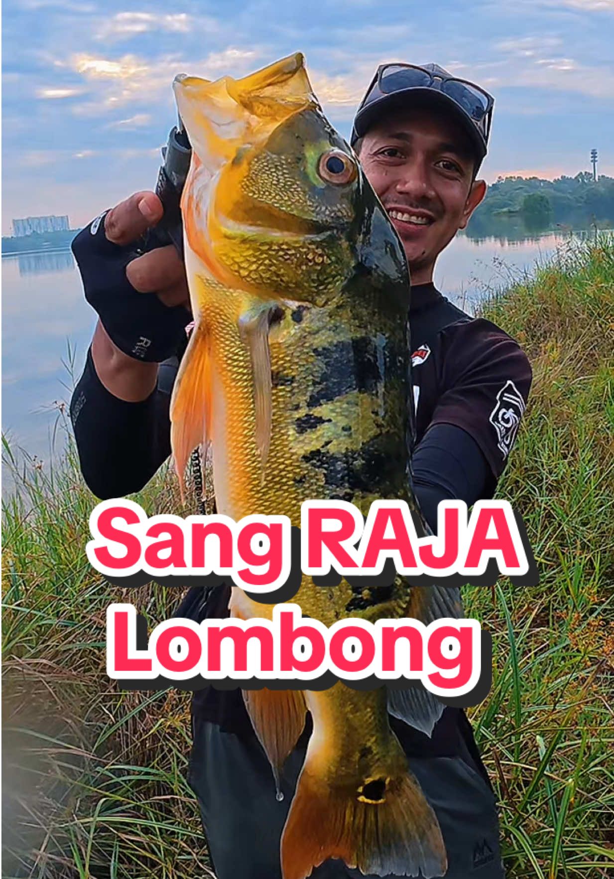 Sang RAJA lombong PEACOCK BASS #peacockbass #pb #mancing #pancing #kakicasting 