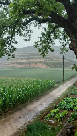 Do you have a very familiar feeling#HomesickMemories #Healing 