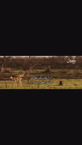 اذا طردتك تعالي ماني بطرد سراب…❣️