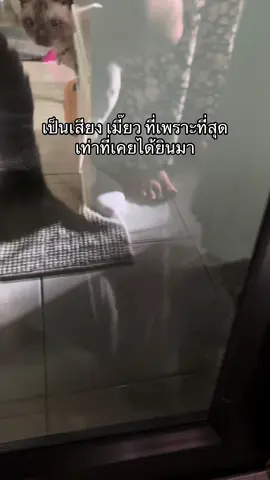 ไม่ใช่AI