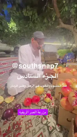#الباحه #الطايف #الرياض #جده #مكه #ينبع #المدينه 