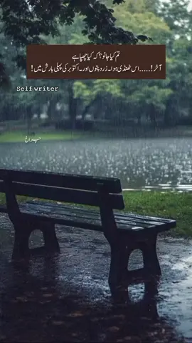 #ownwords#poetry #barish #october #viral 