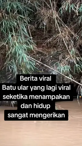 Berita Viral Batu ular hidup kembali #beritaviral #videoviral #batuular #fyppppppppppppppppppppppp 