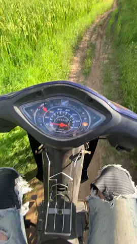 Mùa gặt đã tới #xuhuong 