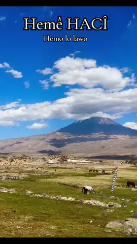 Hemê HACÎ - Hemo lo lawo  Çîyayé Agirî ARARAT- BAZÎD- ÎDIR #hemehaci #dengbej #dengbeji #ararat #ığdır #doğubeyazıt #kurdish #kurd #bakur_başur_rojava_rojhilat #duhok #hewler #kobani #keşfet #beğen #live #beniöneçıkart #keşfetimiaçtiktok 