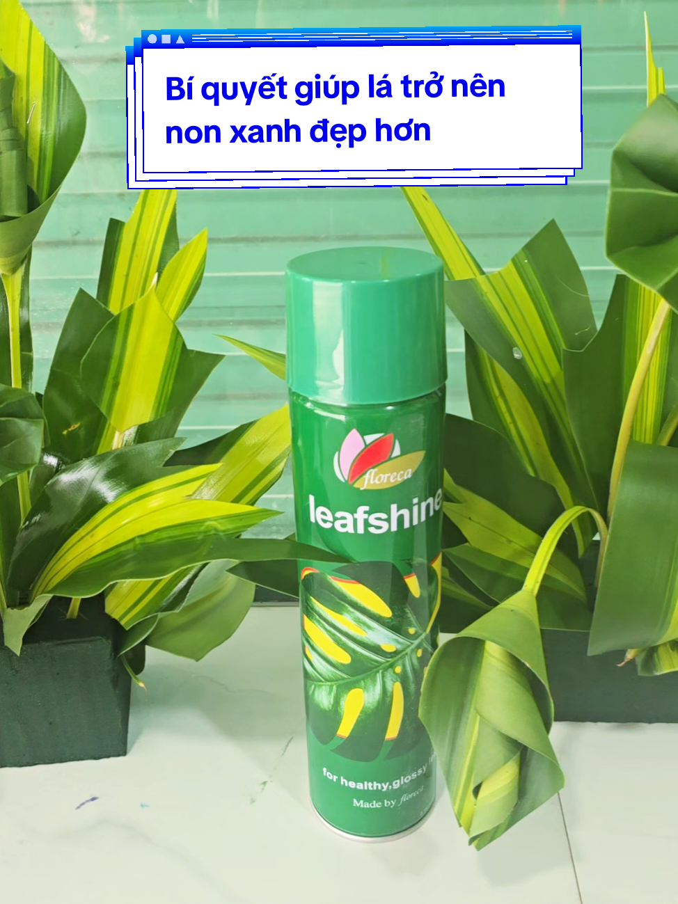 Sự khác nhau rõ ràng chỉ trong 3 giây .Bí quyết của e nhé mọi người. Cả nhà thấy đẹp hơn k ạ #hoadep #traoyeuthuong #viral #xuguongtiktok #daycamhoa 