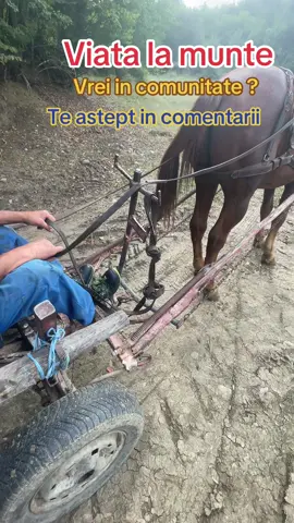 #semnul #fiarei #este #aproape #🇷🇴 