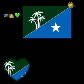 Dhigga🇸🇧🩸👑#CapCut #ber_lula🖤🌴🇸🇧 #hiran_state🇸🇧 #jawi_bila🌊❤️🌴 #somalitiktok 