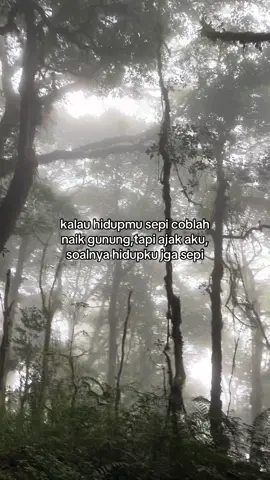 #fypage #masukberanda #pendakiindonesia #pendakigunung 