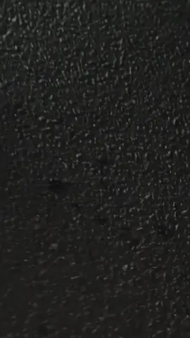 Absen yg ikut semalem NR 🤩😋 #solitude #vario160 #nightride 