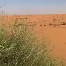 اكسبلور#explore