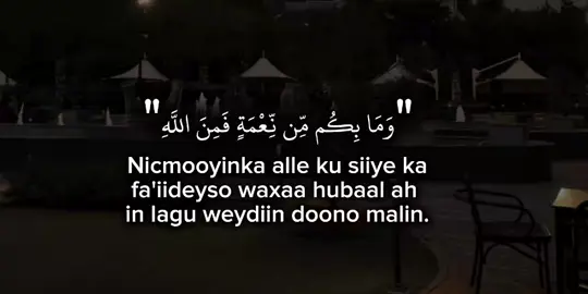 Part 20 || ka fa'iideyso nicmoyinka aad hada heysato.👍🏾❤️‍🩹 #gaabshe_55 #islamic #copylink #foryoupag #fyp 