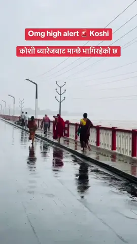 koshi nadi ka badhi aayo Nepal kathmandu nepal public problem koshi nadi ke kinare #fyppppppppppppppppppppppp #trandingvideo #foryoupage #viralvideo #100kviews 