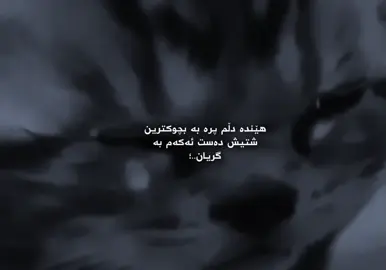 :(🖤#acc #foryoupage #rasty_lak #foryoaya #fipシ 