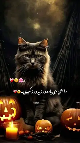 #CapCut Hu sir 🤚💔 #تمپلیت_جدید  مغلومیږې چې له زړه نه اوباسې☹️❤️‍🩹 #تمپلیت_جدید #رپ_پشتو رپ_فارسی اهنګ_پشتو اهنک_افغانی  اهنک_ایران_غمگین_غاشقان creatorsearchinsights #oo__3salar_afg 