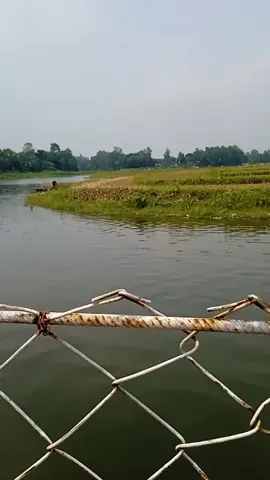 দেওয়ানগঞ্জ ড্রামের ব্রিজ🙂