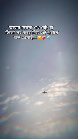 আমার কোনো শখ নেই, যা ছিলো সব কবর দিয়ে এই প্রবাসে চলে এসেছি...!!😊❤️‍🩹✈️