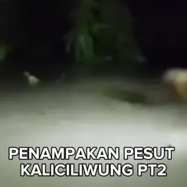 Penampakan ikan pesut kali ciliwung #fyp #anomali #ikanpesutkaliciliwung #anomalimlbb #jomok 