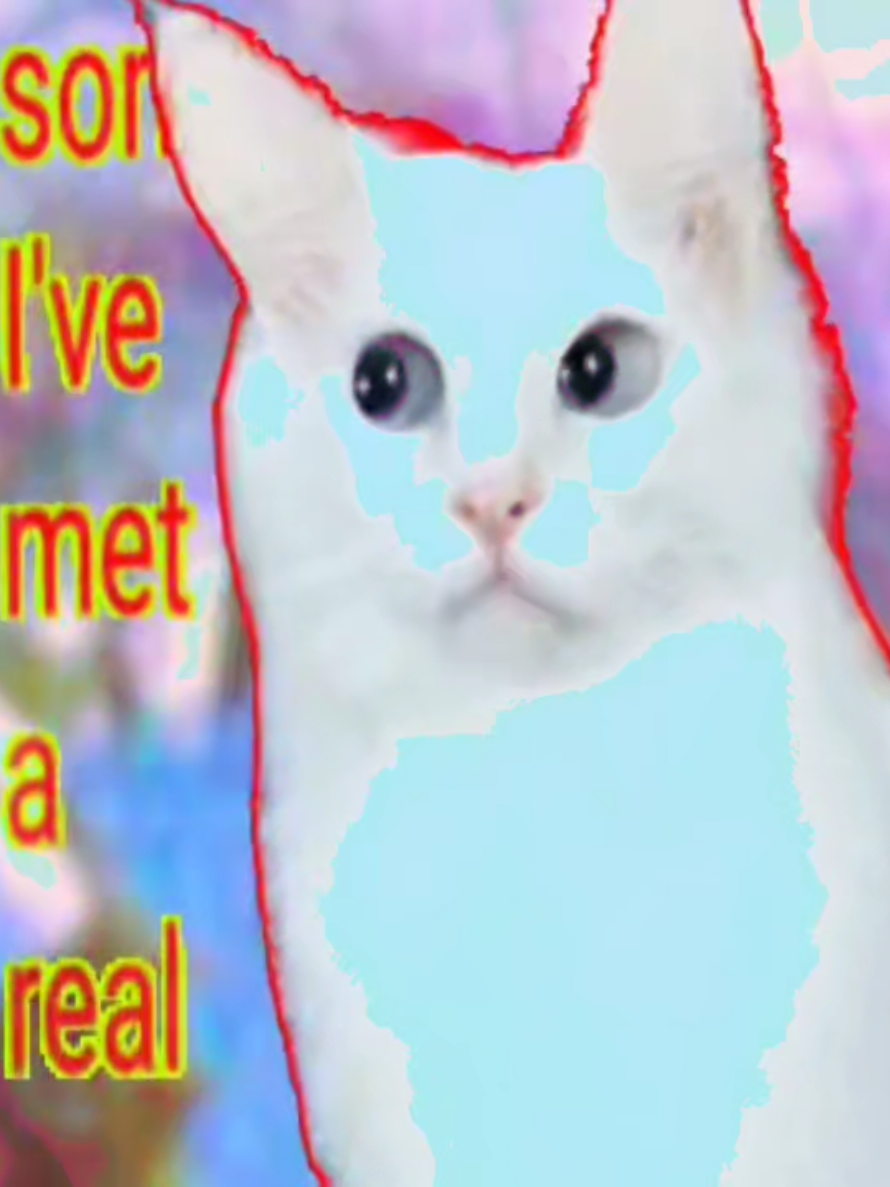 прикинь приснилось #tweening #кот #анимация #cats #rainbowcore 