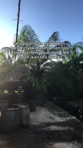 buaya kali ya😂#dapurminyak#tambangmimyak#sumurbor#fyp#brandatiktok 