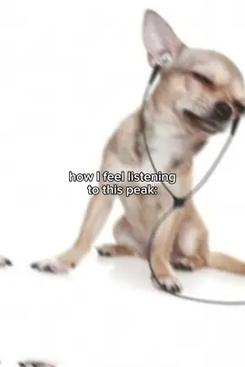 Ma Chérie #malicemizer #fypシ #music #relatable #macherie 