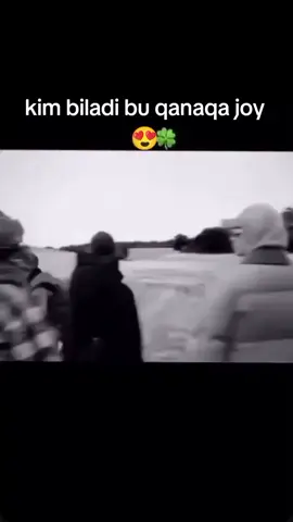 Bu yerga kim borishni hohlardi