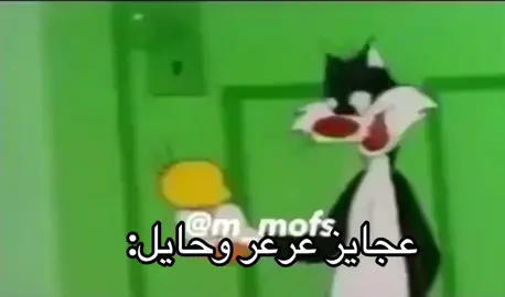 #عرعر #حايل #نوادر #الشعب_الصيني_ماله_حل😂😂 #fyp 