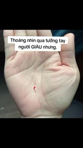 #xemtay #tarot #lenxuhuong 