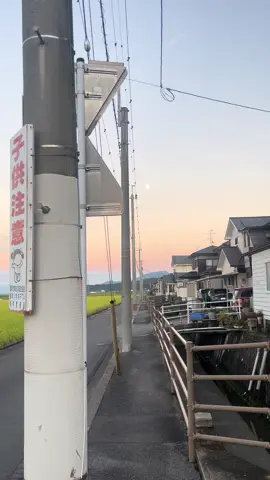 #fypp #japan #japanvibes #sunsetvibes #somebodyspleasure 