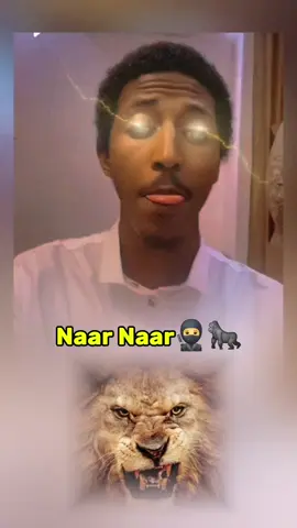 Naar Naar 🥷🦍 @Daaciga👳‍♀️ 