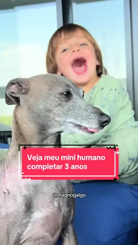 Hoje é o dia dele!!!! Meu mini humano! ❤️#cachorros #galgoitaliano #greyhound #galgo