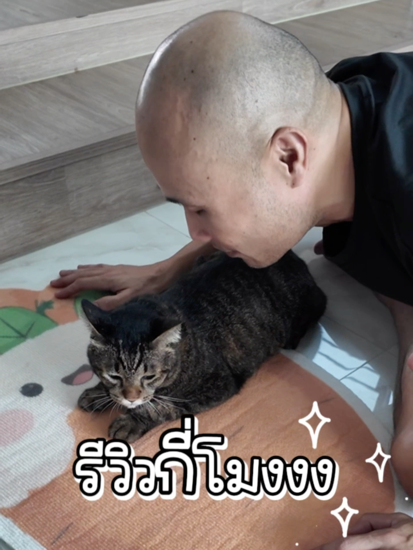ขูดเล็บกี่โมงงงง @kapibookkycat #วุ่นวายชายกะปิ #แมว #แมวอ้วน #cat #catlover