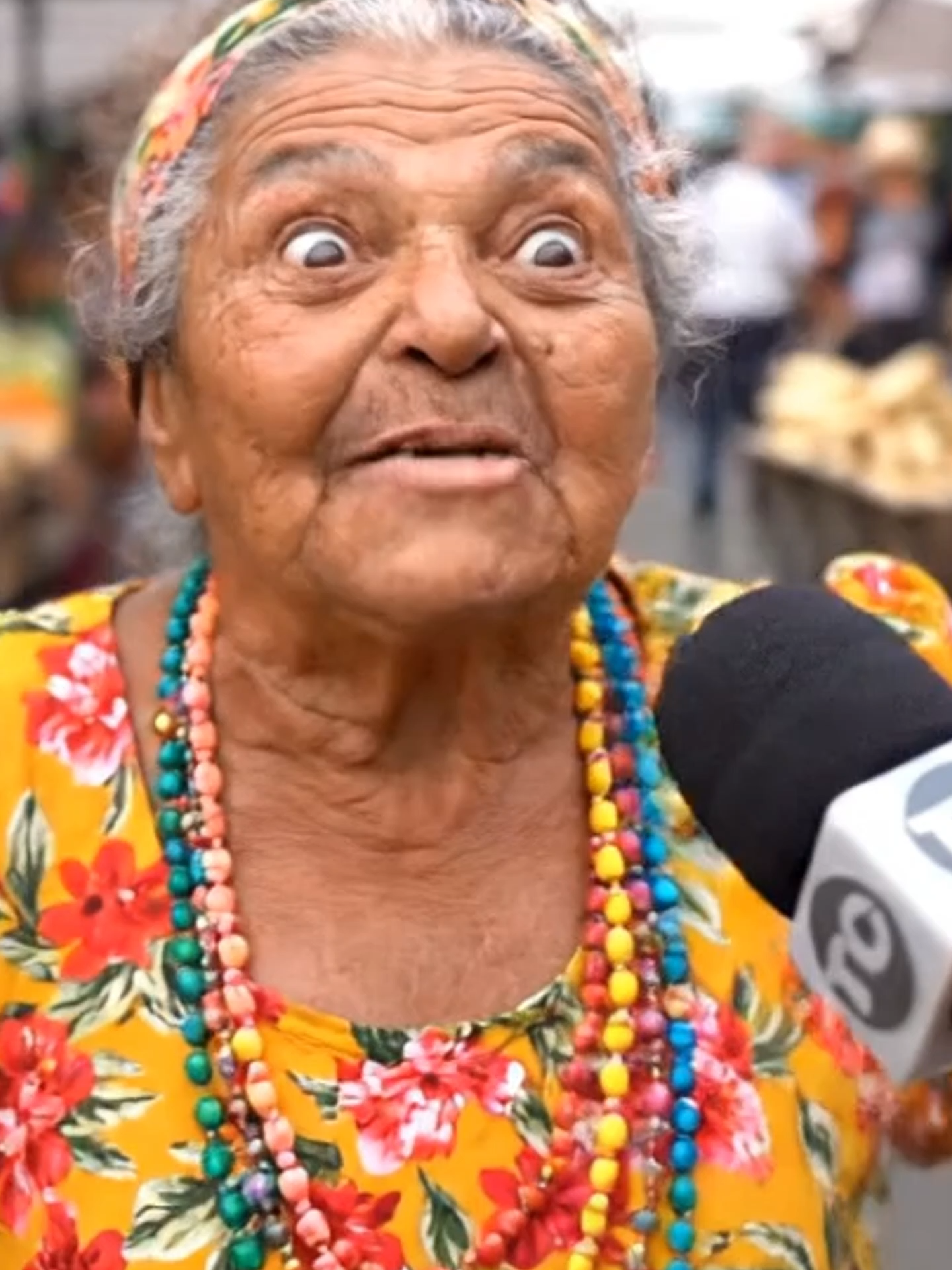 Caça ao Novin Xibatudo!