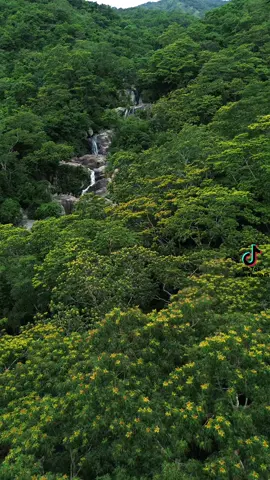 Thác 5 Tầng - Núi Chúa - Ninh Thuận 💚 Tập 2 📸 #ninhthuậnơi #ninhthuan #vqgnuichua #vinhhy #khanhhoa 