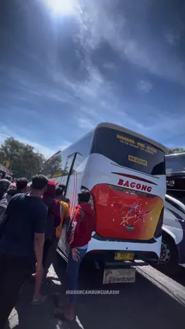 Mbois nya Bagong Medium Bus 🤙🏻🥶🥵 - #fyp #cinematic #terminalpurabaya #kondisiterkini #busmania @putra_langkar77😈 
