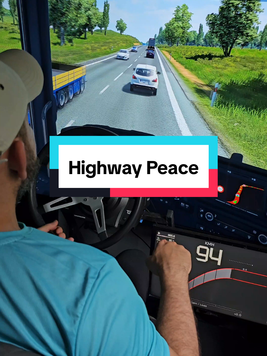 Highway Peace #gamesnotiktok #game #gamer #videogames #eurotrucksimulator2 