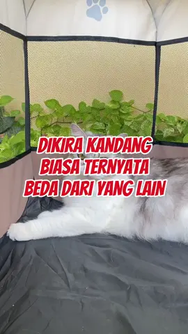 KANDANG LIPAT INI BEDA DARI YANG LAIN !!       #promoseruweekend #promomakangajian #fyp #kandanglipat #kandang 